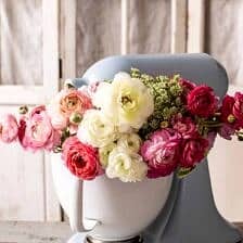 Nine Favorite Things | halfbakedharvest.com