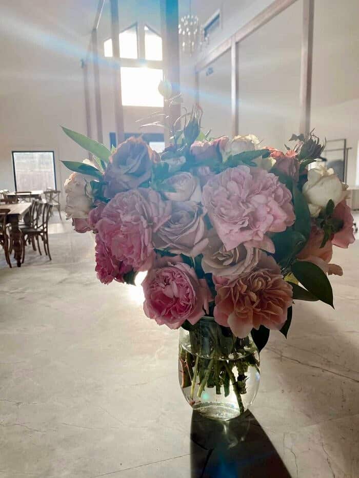 Nine Favorite Things | halfbakedharvest.com Nine Favorite Things | halfbakedharvest.com