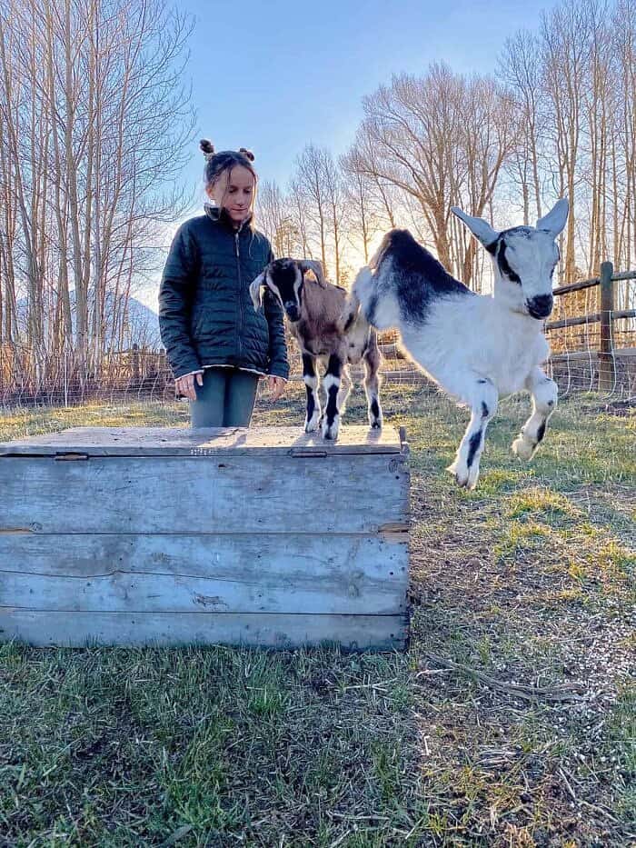 Nine Favorite Things | halfbakedharvest.com Nine Favorite Things | halfbakedharvest.com