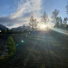 Nine Favorite Things | halfbakedharvest.com