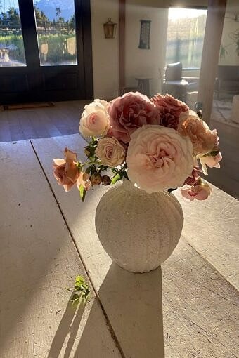 Nine Favorite Things | halfbakedharvest.com