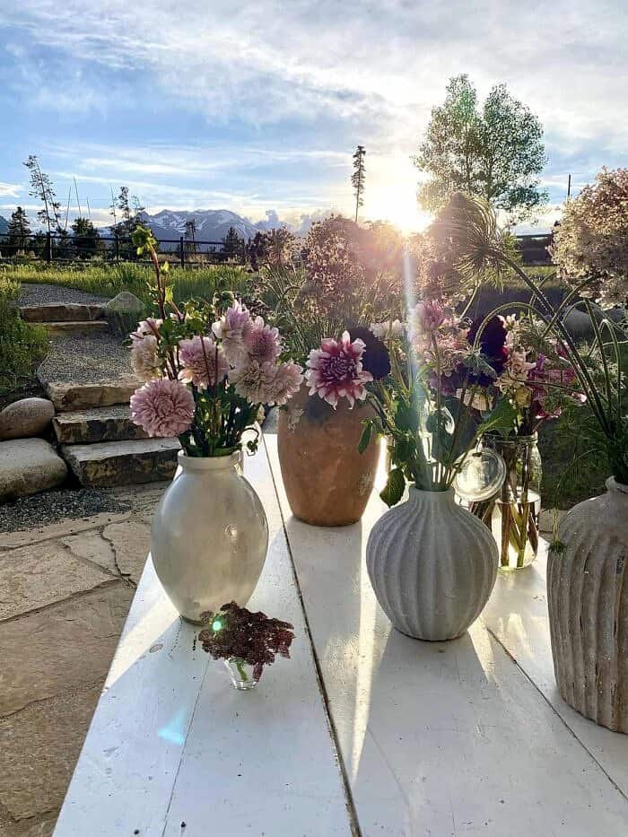 Nine Favorite Things | halfbakedharvest.com