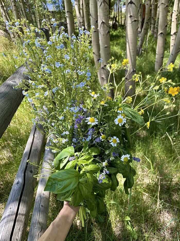 fresh picked flowers 