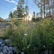 Nine Favorite Things | halfbakedharvest.com