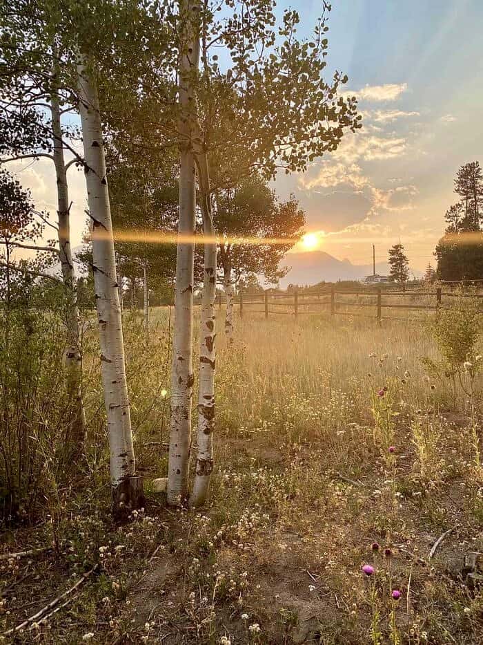 Nine Favorite Things | halfbakedharvest.com