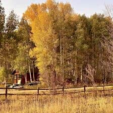 Nine Favorite Things | halfbakedharvest.com