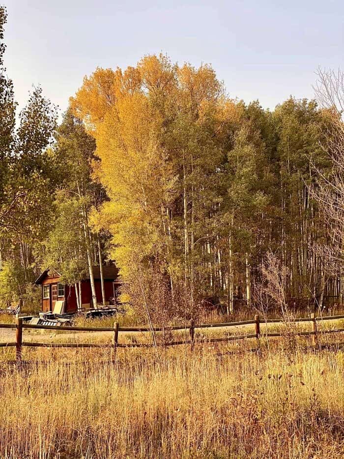 Nine Favorite Things | halfbakedharvest.com