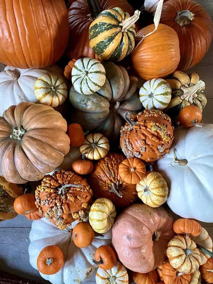 Nine Favorite Things | halfbakedharvest.com