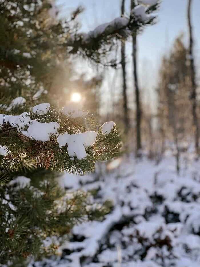 Nine Favorite Things | halfbakedharvest.com