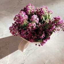 Nine Favorite Things | halfbakedharvest.com