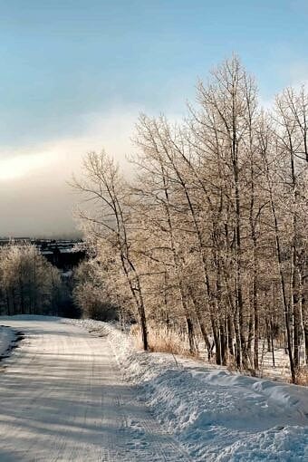 Nine Favorite Things | halfbakedharvest.com