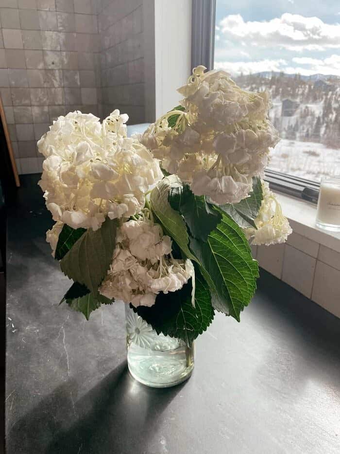 Nine Favorite Things | halfbakedharvest.com