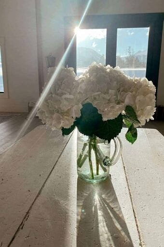 Nine Favorite Things | halfbakedharvest.com