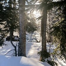 Nine Favorite Things | halfbakedharvest.com