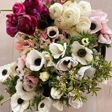 Nine Favorite Things | halfbakedharvest.com