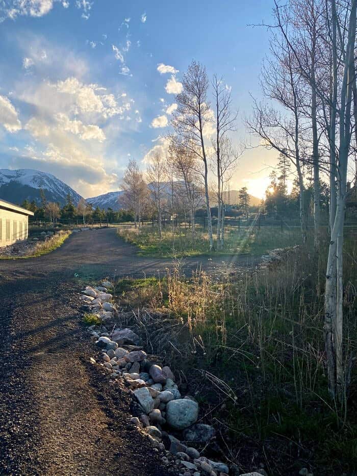 Nine Favorite Things | halfbakedharvest.com