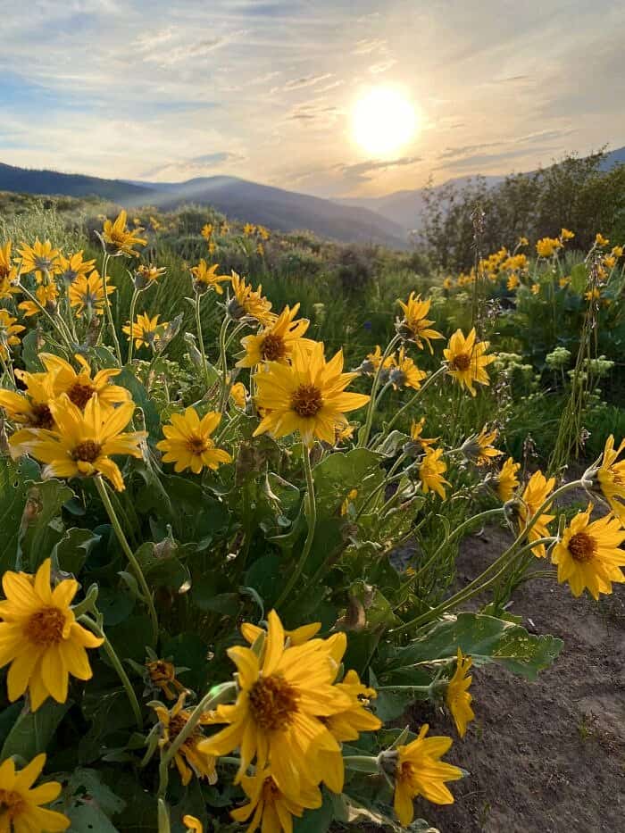 Nine Favorite Things | halfbakedharvest.com