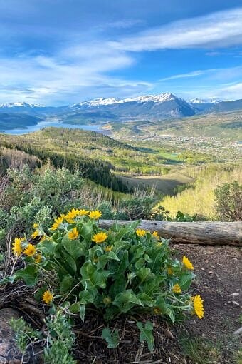 Nine Favorite Things | halfbakedharvest.com