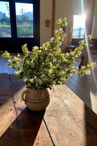 Nine Favorite Things | halfbakedharvest.com