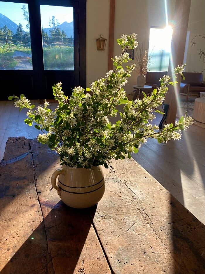 Nine Favorite Things | halfbakedharvest.com