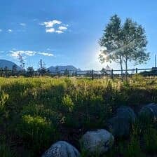 Nine Favorite Things | halfbakedharvest.com