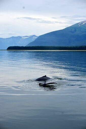 Nine Favorite Things | halfbakedharvest.com