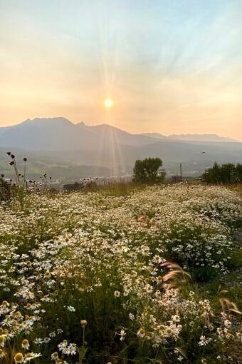 Nine Favorite Things | halfbakedharvest.com