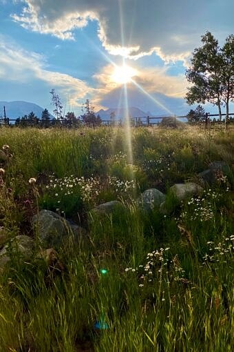 Nine Favorite Things | halfbakedharvest.com