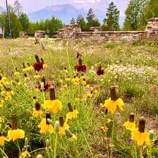 Nine Favorite Things | halfbakedharvest.com