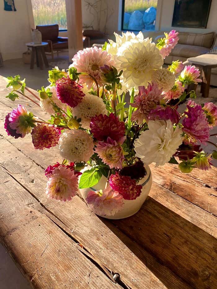 Nine Favorite Things | halfbakedharvest.com