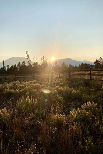 Nine Favorite Things | halfbakedharvest.com