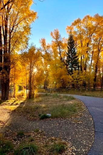 Nine Favorite Things | halfbakedharvest.com