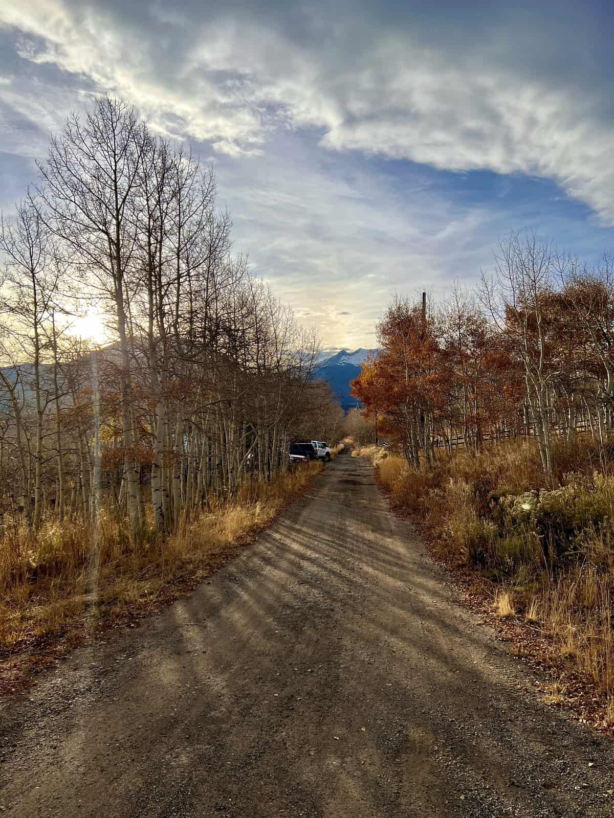 Nine Favorite Things | halfbakedharvest.com