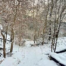 Nine Favorite Things | halfbakedharvest.com