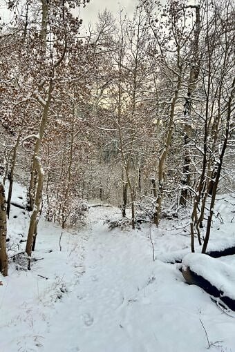 Nine Favorite Things | halfbakedharvest.com