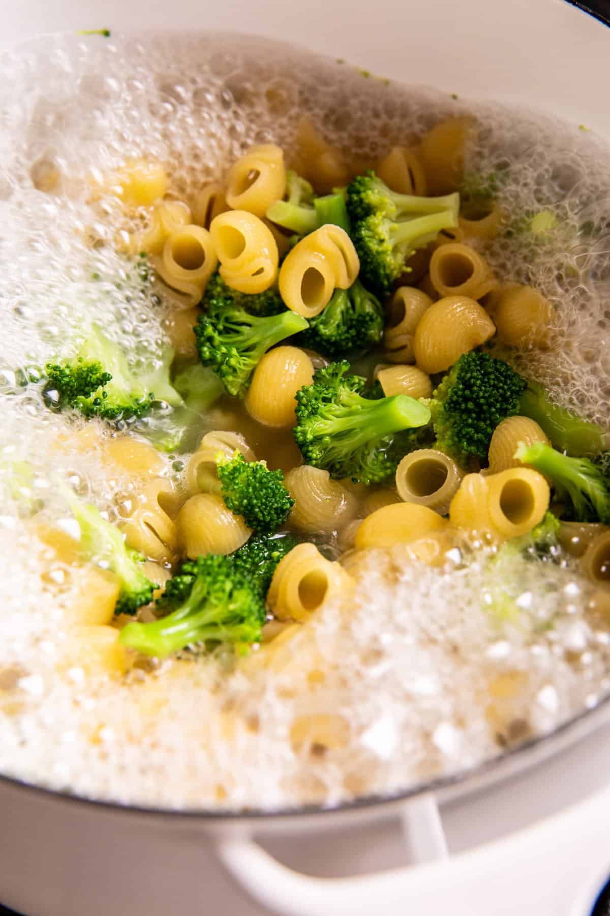 One Pot Stove-Top Mac and Cheese | halfbakedharvest.com