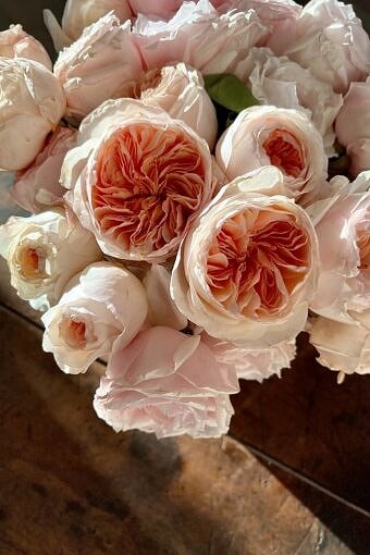 Nine Favorite Things | halfbakedharvest.com