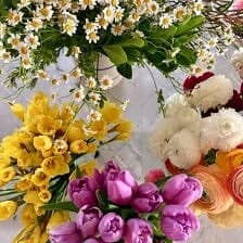 Nine Favorite Things | halfbakedharvest.com