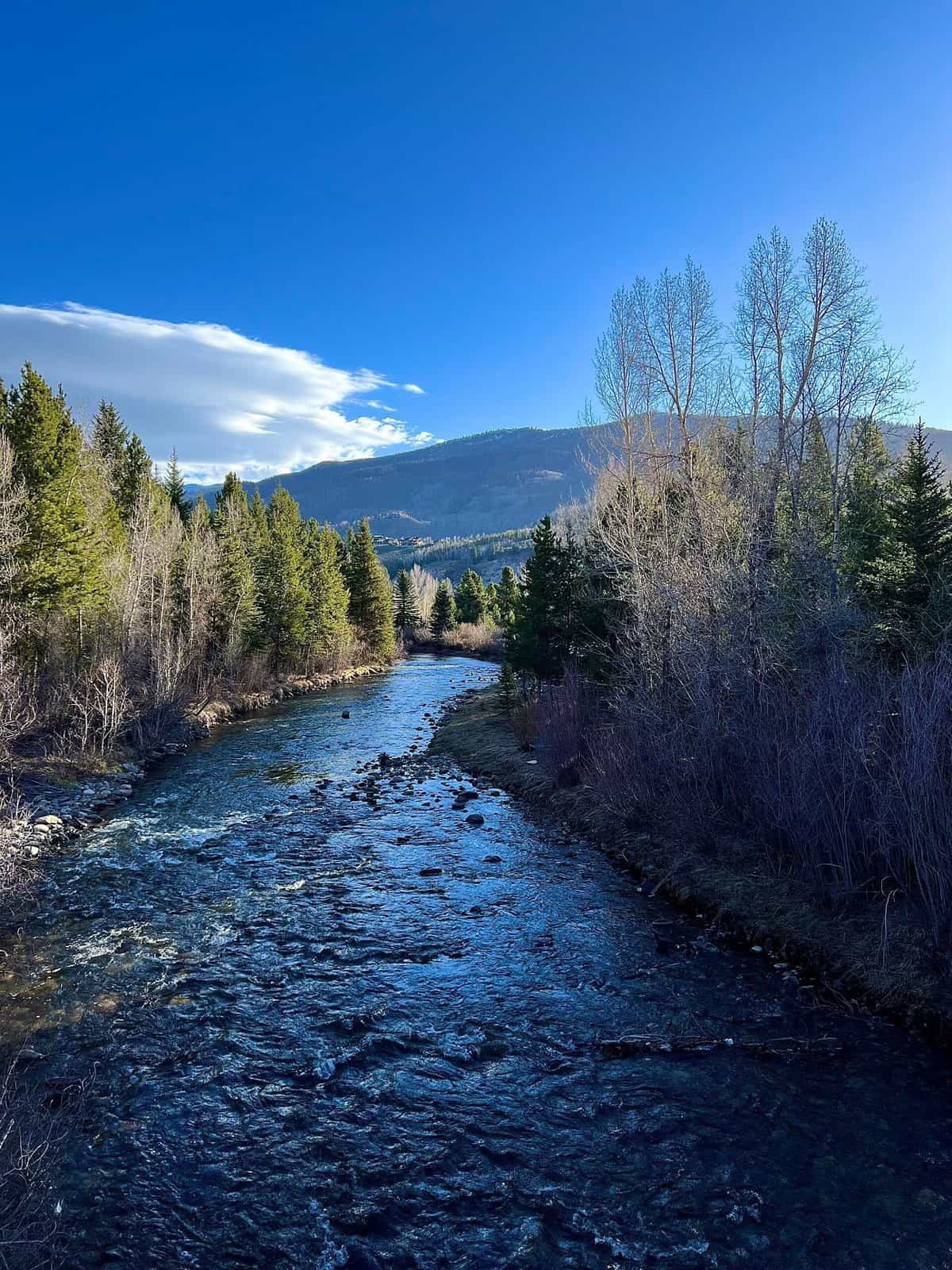 Nine Favorite Things | halfbakedharvest.com