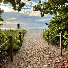 Nine Favorite Things | halfbakedharvest.com