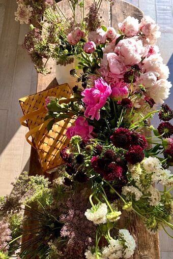 Nine Favorite Things | halfbakedharvest.com