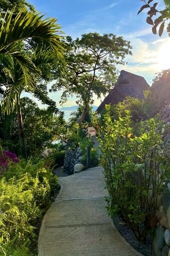 Nine Favorite Things | halfbakedharvest.com