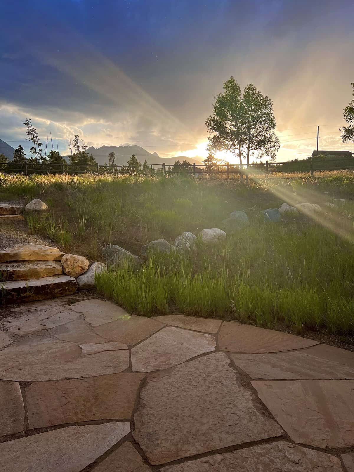 Nine Favorite Things | halfbakedharvest.com