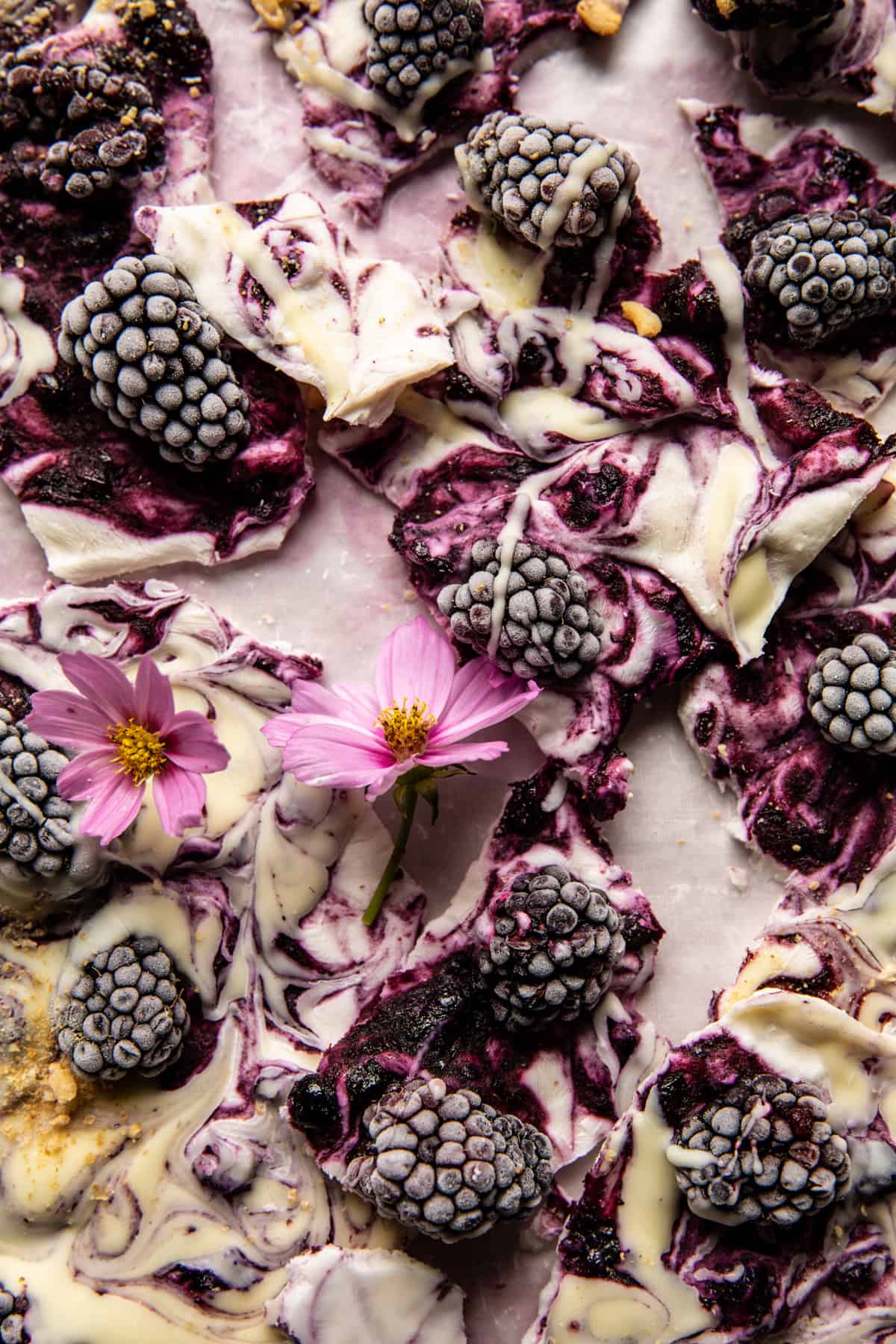 6 Ingredient Frozen Blackberry Yogurt Bark | halfbakedharvest.com