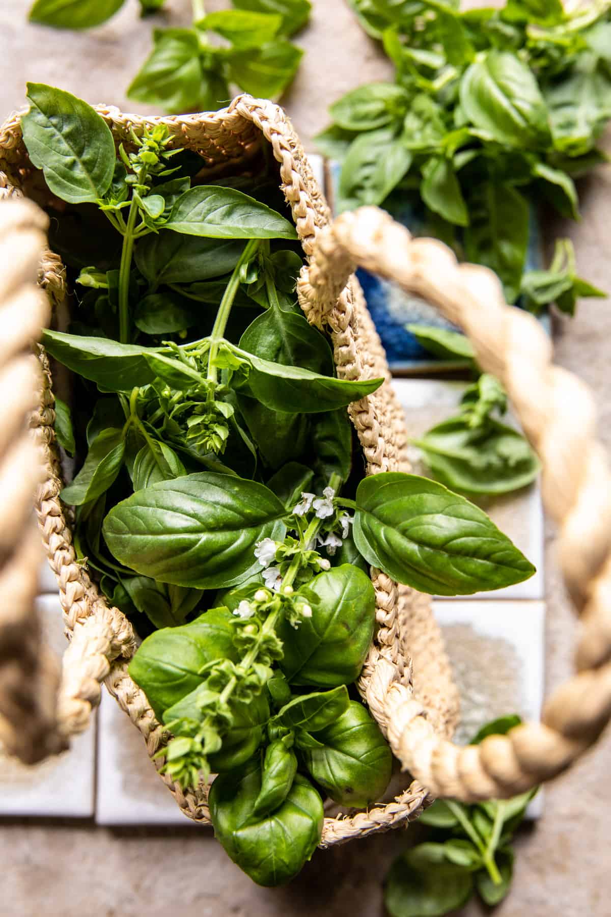 Heirloom Tomato Cheddar Tart with Everything Spice | halfbakedharvest.com