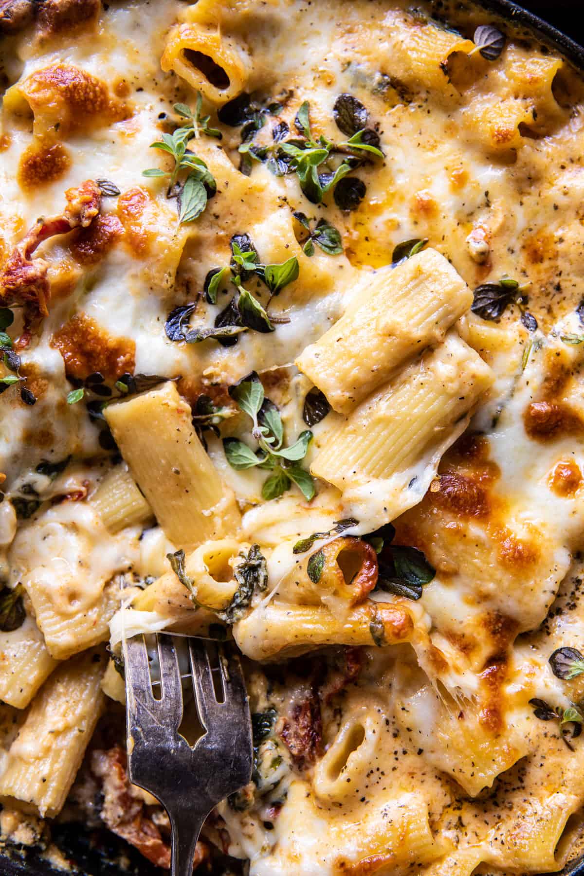 Baked 4 Cheese Butternut Squash Rigatoni | halfbakedharvest.com