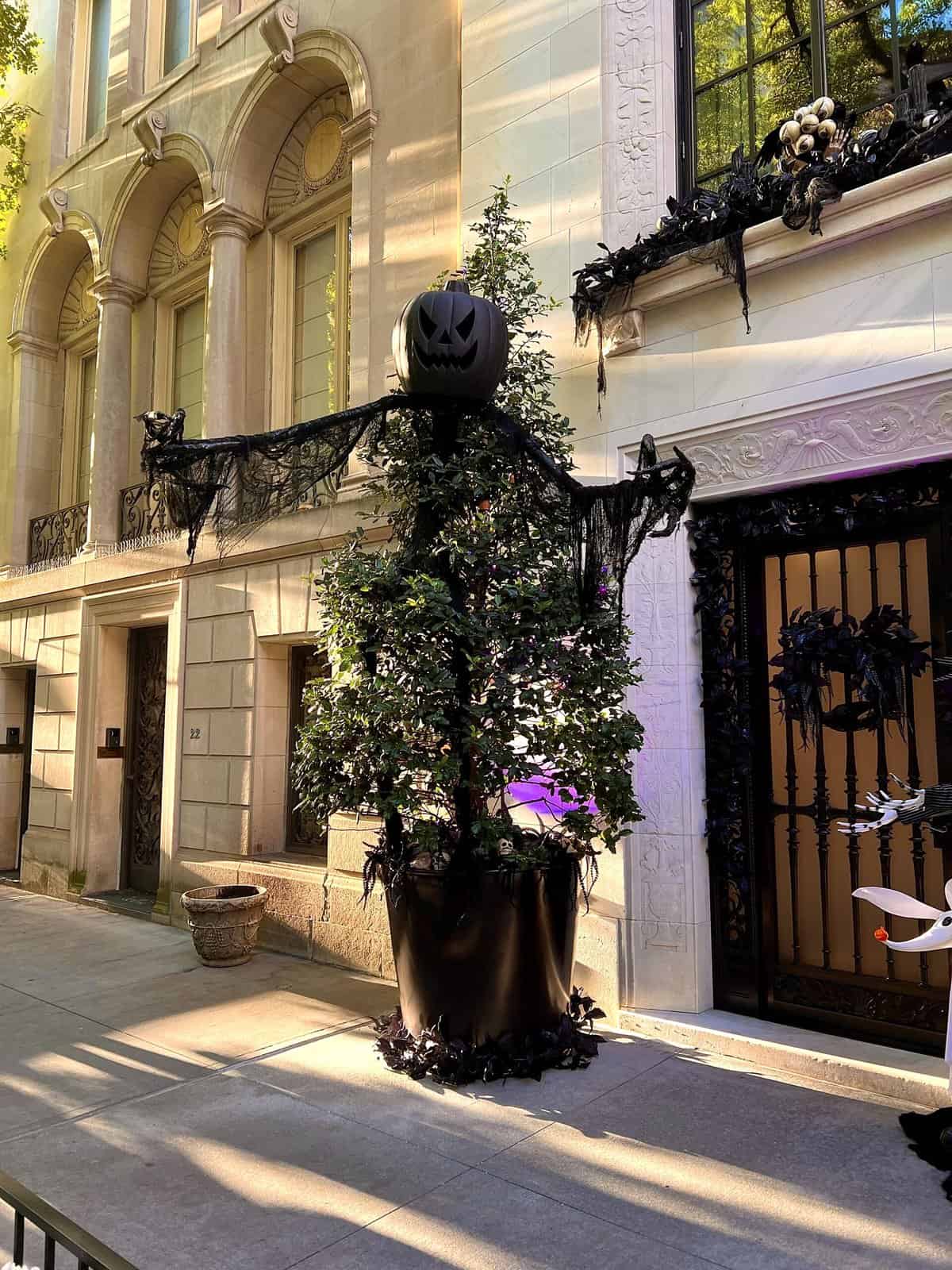 Nine Favorite Things | halfbakedharvest.com