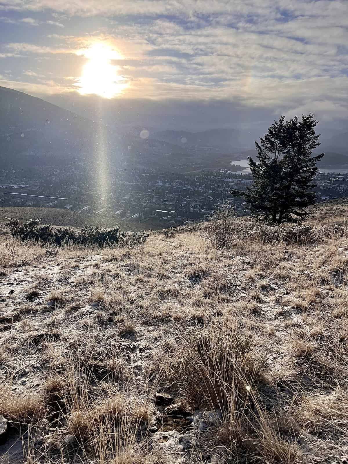 Nine Favorite Things | halfbakedharvest.com