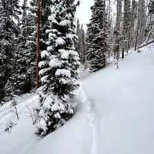 Nine Favorite Things | halfbakedharvest.com