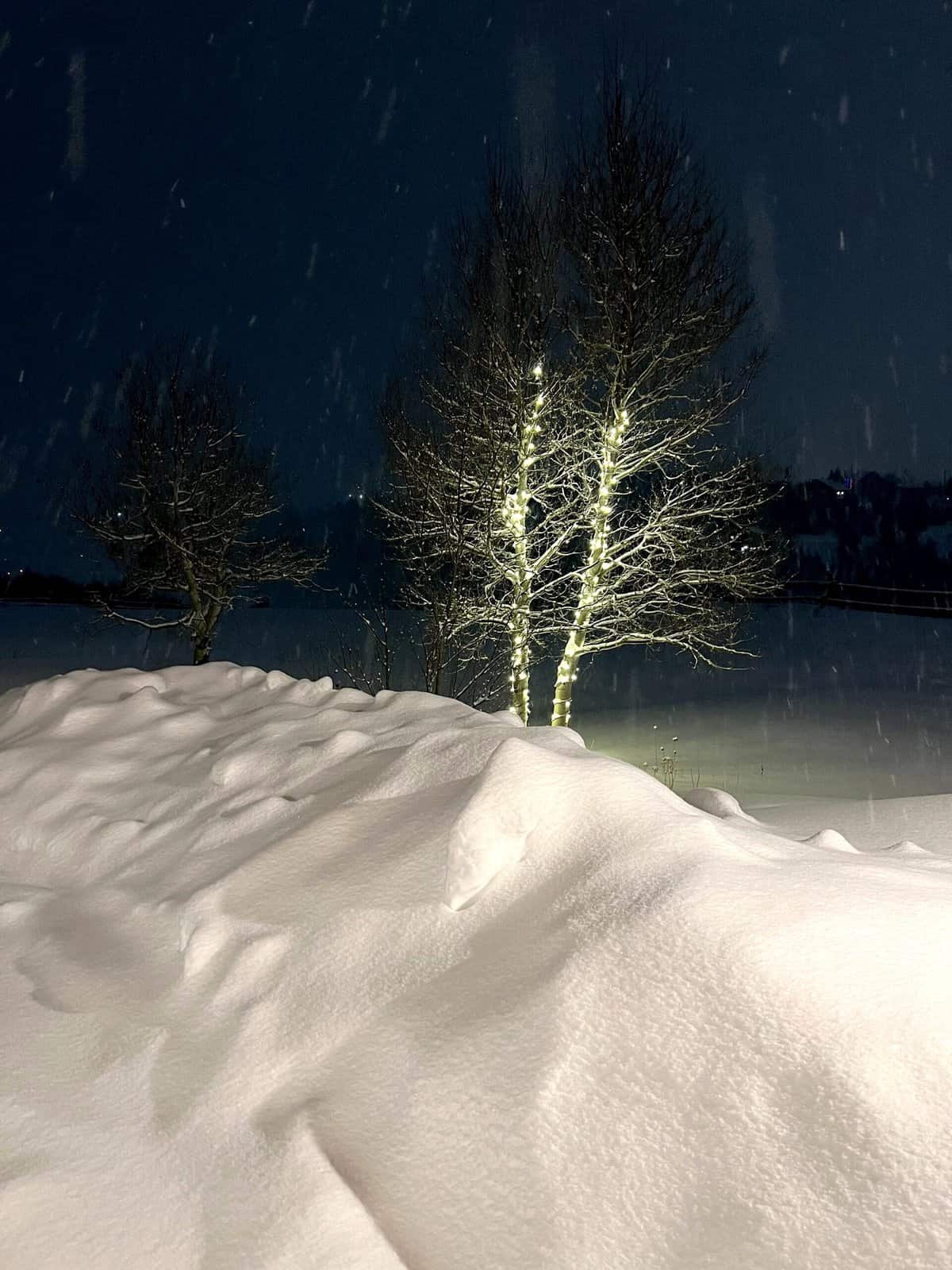 Nine Favorite Things | halfbakedharvest.com